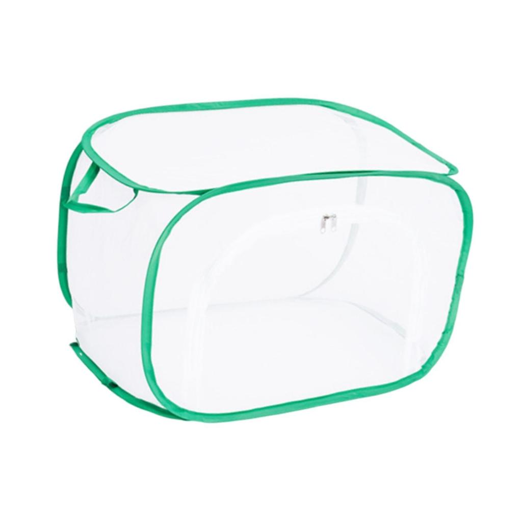 Butterfly Catching Cage Feeding Net W/ Handle Multi Use Protection Cover