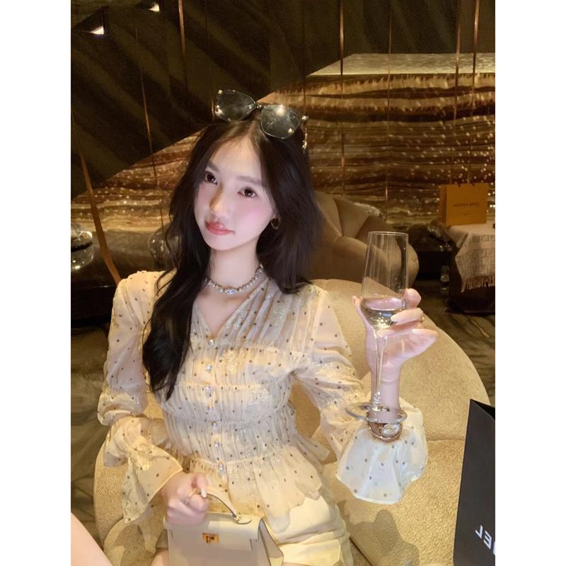 Women s Embroidered Chiffon V-Neck Top S