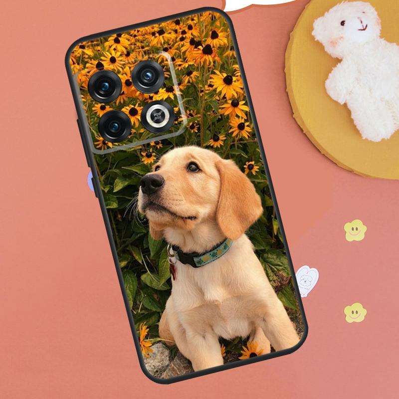 

Golden Retriever Friend Case For OnePlus 13T 10T 8T 12R 13R 15 13 12 11 9 10 Pro Nord CE 5 2 3 4 Lite N20 N30 Funda OnePlus Nord N30