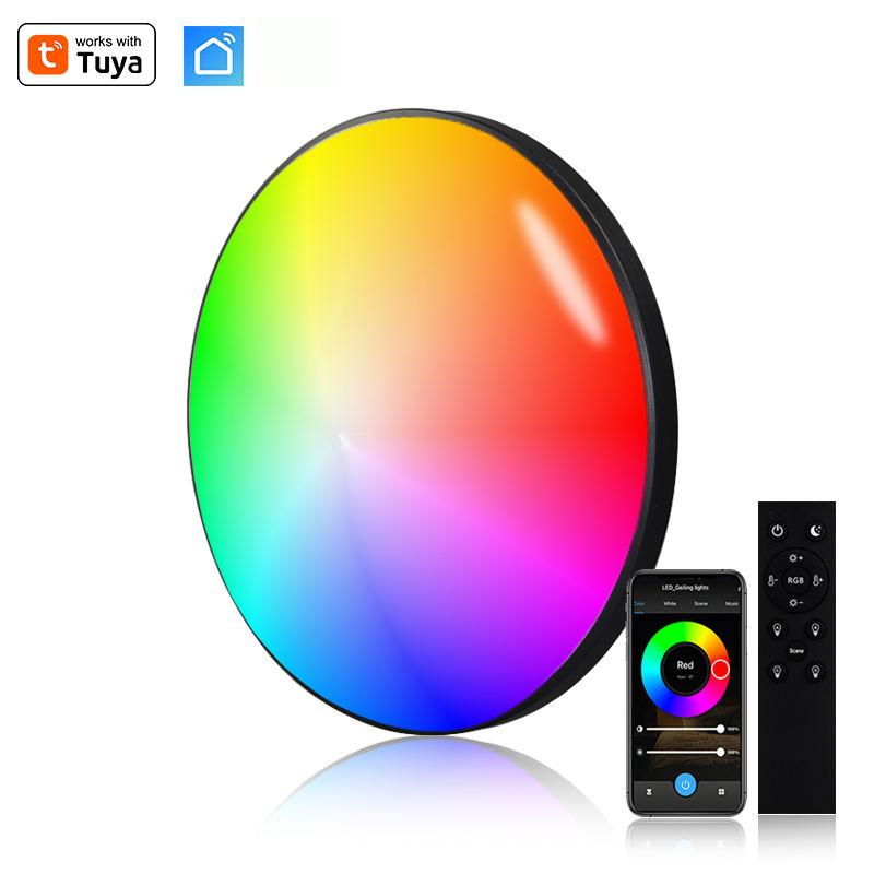 APP Controlled Smart LED Ceiling Light 24W RGB Tunable White AC 220V Modern Design for Home Bedroom Living Room Lighting
