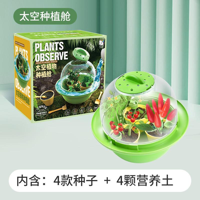 

Космический домик для посадки растений, детский научный костюм для экспериментов, выращивание овощей, гидропонная теплица, игрушки для выращивания зелёный