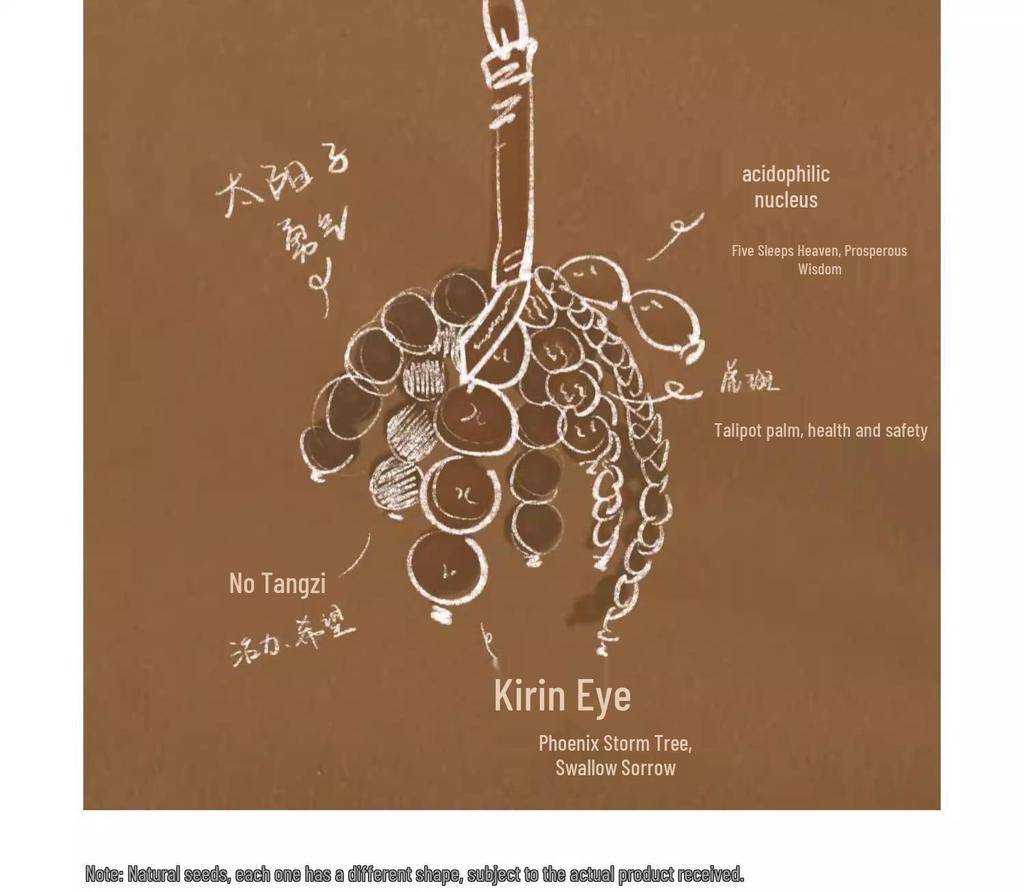 Wunsch erfüllen: Handgemachter Bodhi Schlüsselanhänger & Anhänger im chinesischen Stil für Taschen