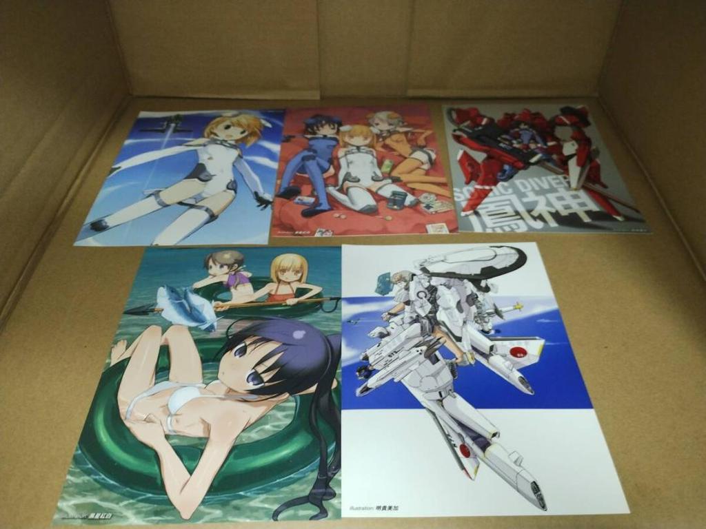 [USED] Sky Girls DVD First Edition Bonus Illustration Card Complete