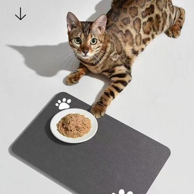 Huisdieren Honden en Katten Eetmatten Voeren Anti-spat Diatomeeënaarde Matten Absorberend Sneldrogend Onderhoudsvriendelijke Matten
