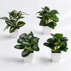 Desktop Ornament Home Decor Ring Plastic Green 1 Pc