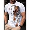 T-shirts e tops – T-Shirts