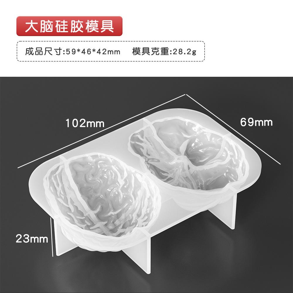 Human Organs Shape Silicone Molds Heart Brain Resin Epoxy Mold Cupcake