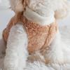 Pet Apparel: Autumn/Winter Fleece Clothes for Dogs & Cats with Traction Buckle.