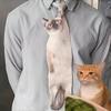 3D Katze Katzenförmige Unisex-Krawatte Kreatives Tier Muster Kätzchen Krawatte Satinstoff Lebensechte Krawatte für Hochzeitsfeier