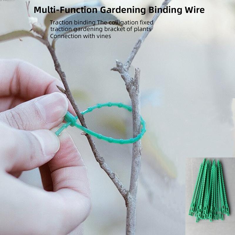 50Pcs Adjustable Plastic Plant Cable Ties Reusable Garden Tree Climbing Support Plant Vine Tomato Stem Clip Plant Straps Tools