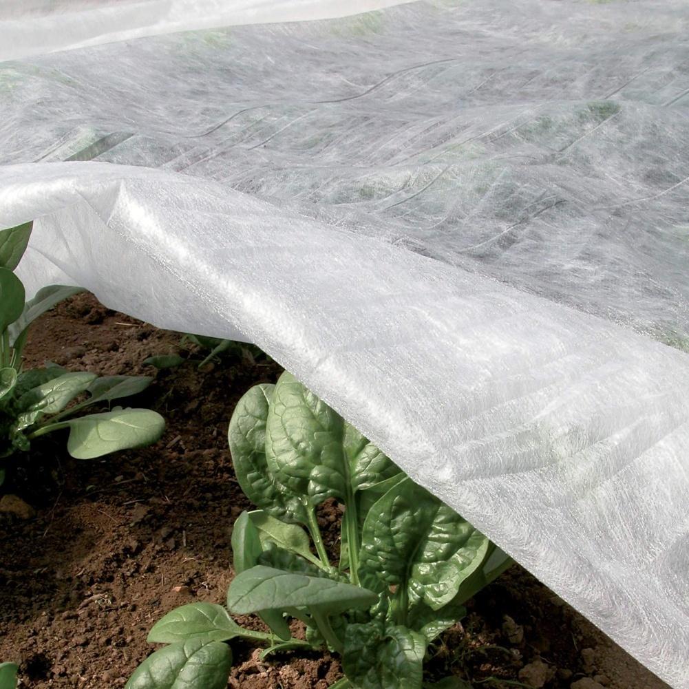 Plant Winter Protection Cover Non Woven Fabric with Stabilisation and Tear Resistant Material for Effective Frost Barrier Use