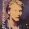 Disque 7 pouces CHESNEY HAWKES The One And Only CHS3627 Chrysalis 1991 UK Pop Occasion
