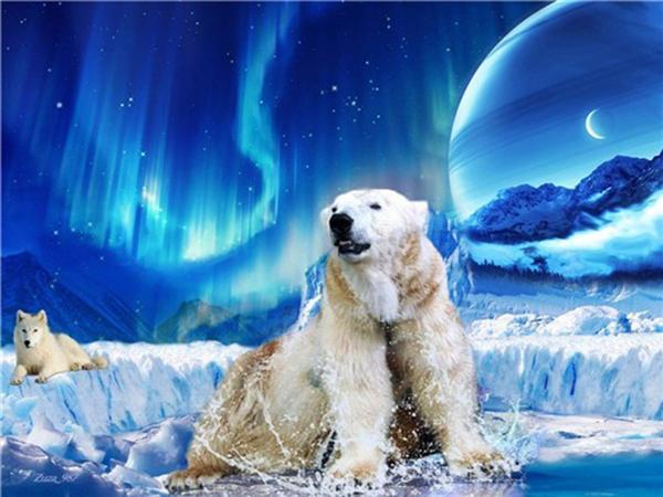 Full Square/round Diamond Painting Embroidery Polar Bear Home Decor Mosaic Cross Stitch Arctic Animal Wall Sticker