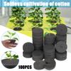 100 Stück Garten-Klonkragen für Hydroponik Pflanzenkeimung in Netztopfen und Klonmaschinen Soilless Culture Wachssponge