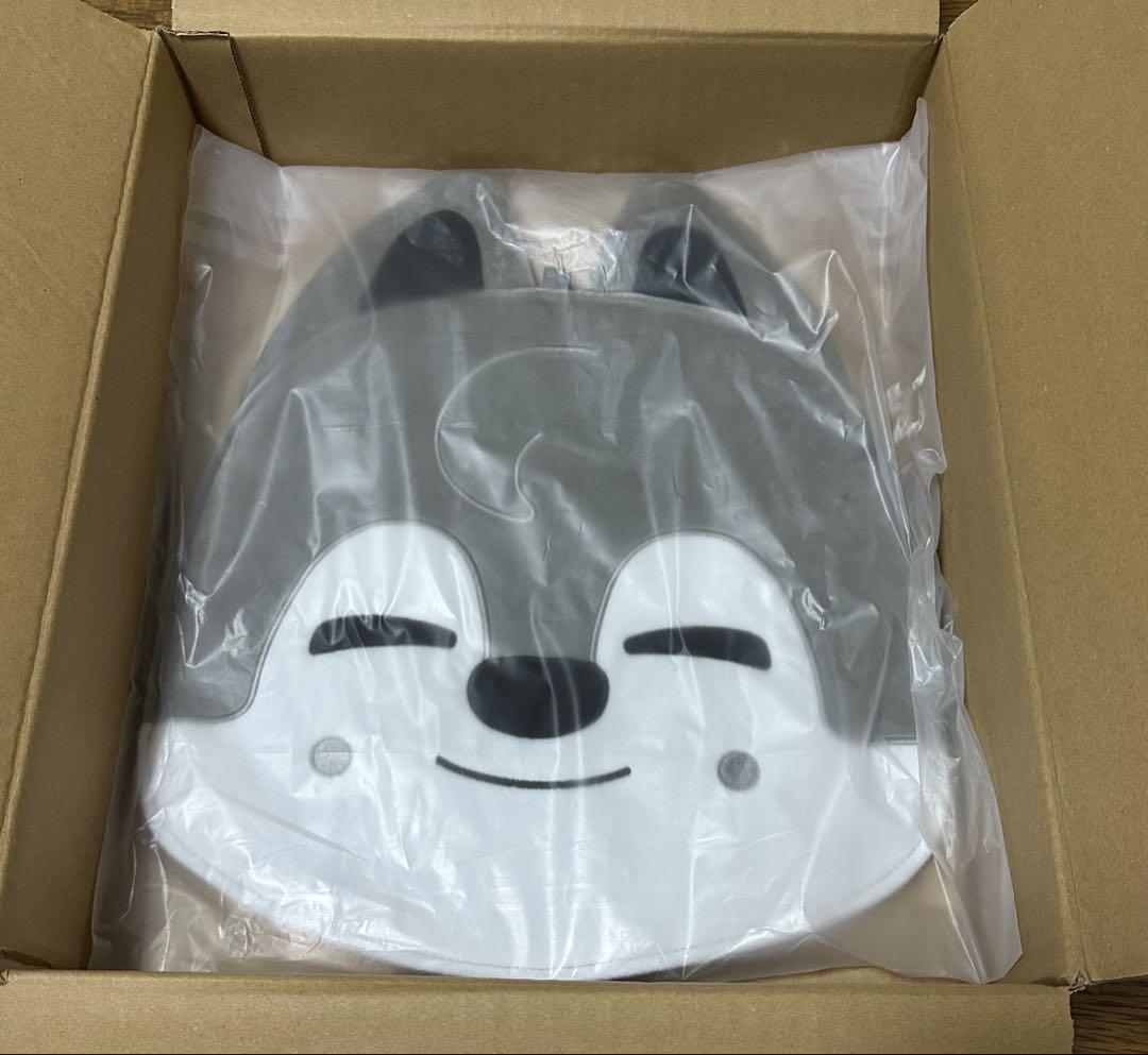 

[USED] Stray Kids Bang Chan and Wolf Chan fan cover