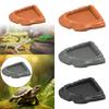 Reptile Bathing Pool Terrarium Bowl Realistic Decor Corner Tortoise Water Food Bowl for Semi Aquatic Turtle Snake Chameleon
