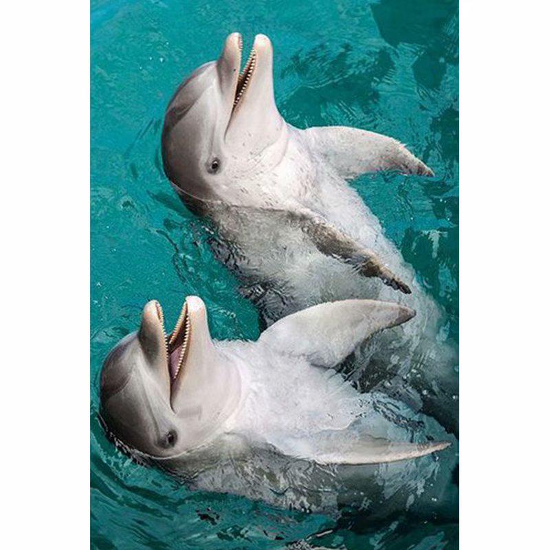 DIY 5D Full Drill Diamantmaling Dolphin Moon Broderi Korssting Mosaikk Hjem Dekor Gave