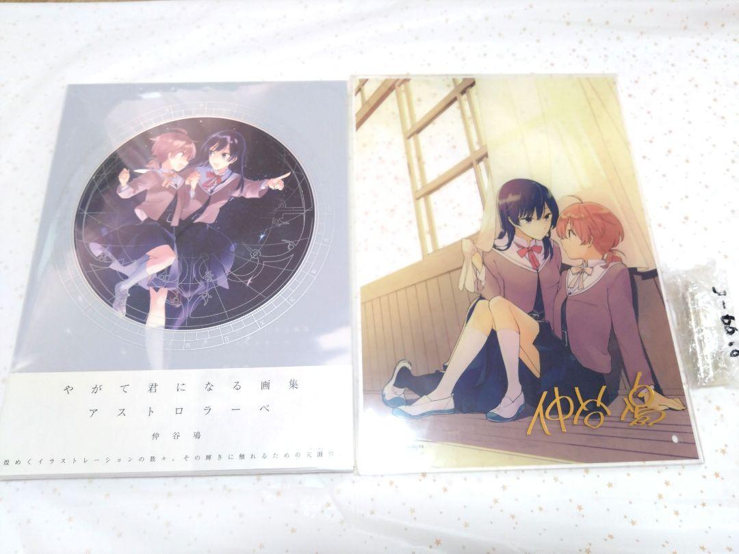 

[USED] Bloom Into You Art Book Astrolabe Signed Acrylic Panel with Colored Paper