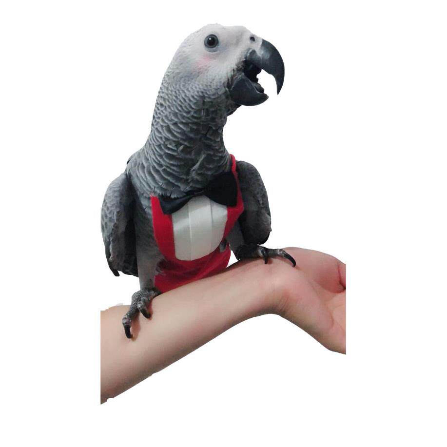 Anti Dirty and Anti Fouling Parrot Flight Suit Adjustable Medium and Large Parrot Going Out Suit with Diaper Parrot Accessories