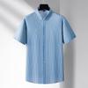 Men's Plus Size Striped Short Sleeve Shirt