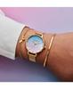 [Authorized Dealer] OLIVIA BURTON Women's Watch Under the Sea Marker & Gold