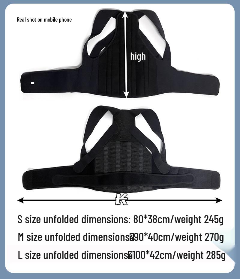 Aulex Adjustable Back and Waist Support Belt for Men & Women - Medical Grade for Fitness & Sports Training