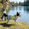Sun Protection Cooling Dog Jumpsuit Thin Breathable Cooling Suit Dog Sunscreen Costume  Hiking