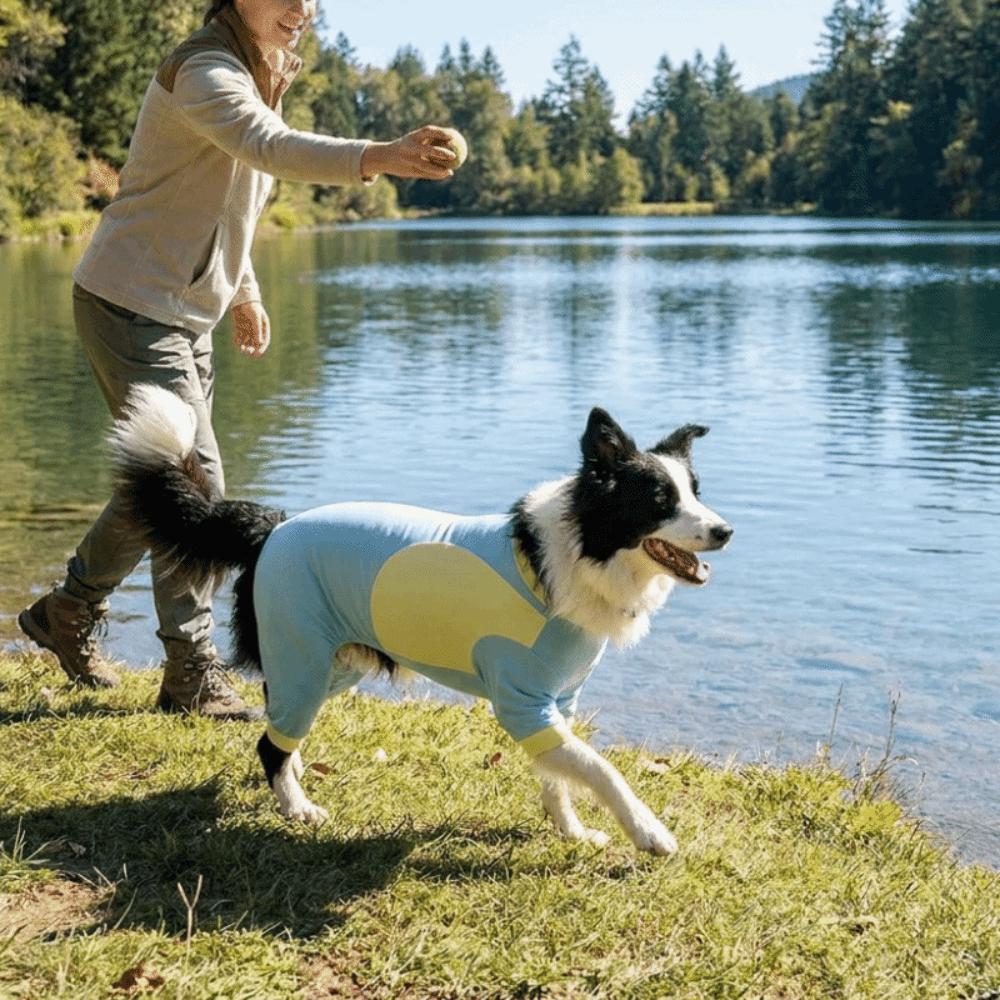 Sun Protection Cooling Dog Jumpsuit Thin Breathable Cooling Suit Dog Sunscreen Costume  Hiking