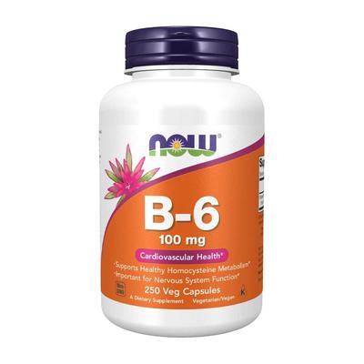 Vitamin B-6 100 Mg, 250 Veg Capsules