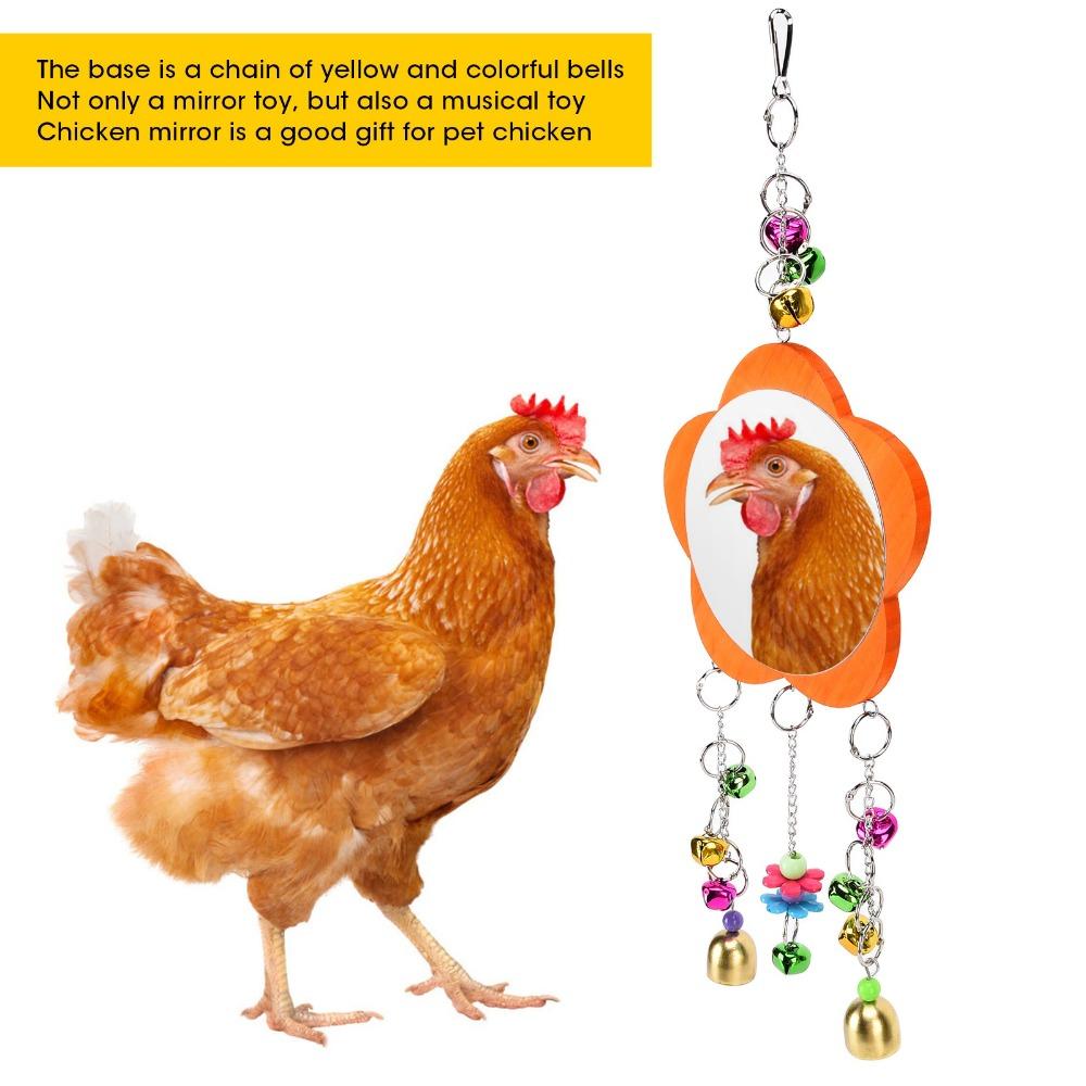 Non Toxic Chicken Hanging Mirror Broken Resistant Rooster Toy Mirror Pet Chickens
