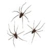 Giant Spider Earrings Halloween Carnival Stud Earrings-2025 New Arrival