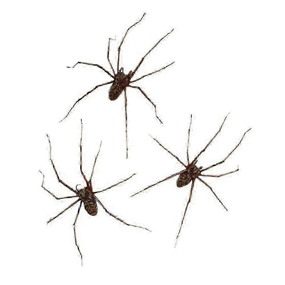 Giant Spider Earrings Halloween Carnival Stud Earrings-2025 New Arrival