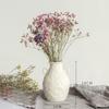 White Ceramic Vase with Dried Baby's Breath for Living Room or Dining Table Decoration