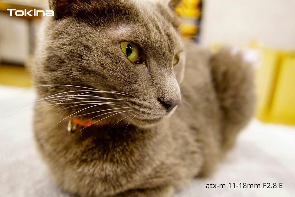 Tokina širokoúhlý objektiv se zoomem E Pouze Sony E Mount ATX-M 11-18 mm F2,8 APS-C
