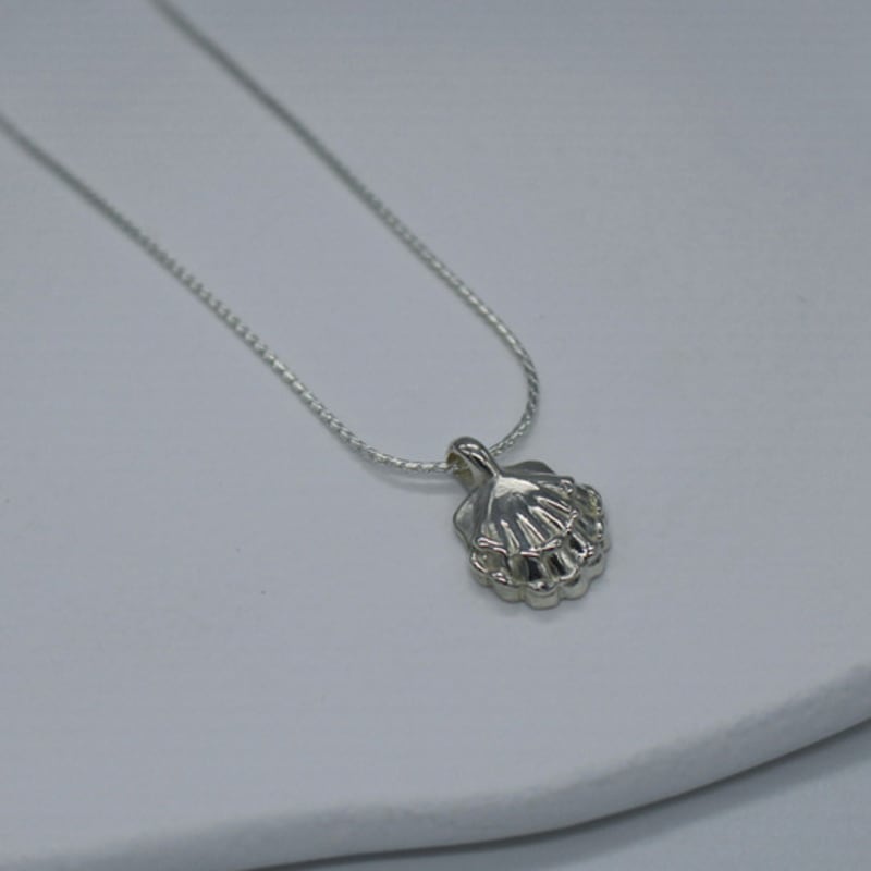 Overcozy Clumsy Little Seashell Necklace