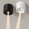 Plafoniere și lustre – Proiectoare
