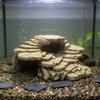 Turtle Basking Platform Resin Craft Turtle Sunning Dock Rock Hideout Cave Multi-Level Design Pet Habitat Decor