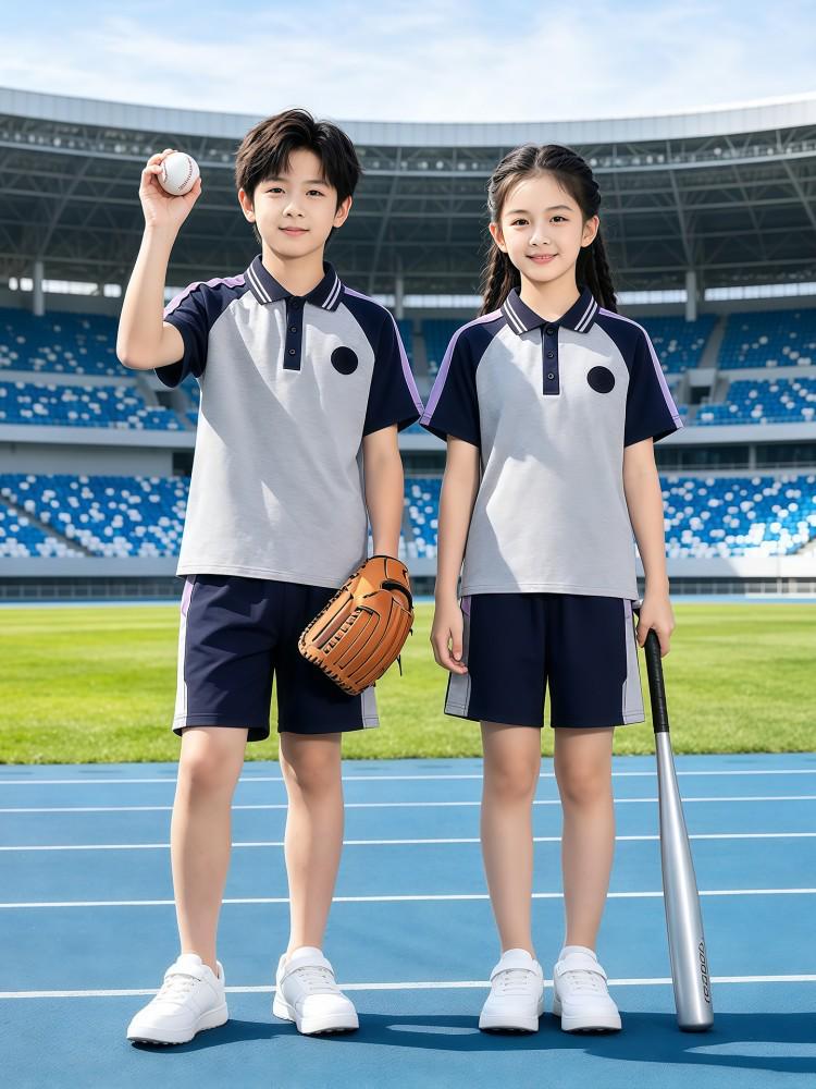 Liaoning Shenyang Primary School Summer Uniform Set for Students - Multi-piece, All-Season Wear