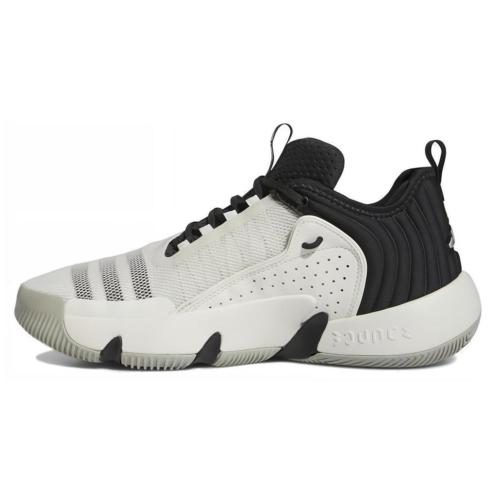 adidas Trae Unlimited Cloud White Carbon Men Sneakers Metal-Grey IF5609