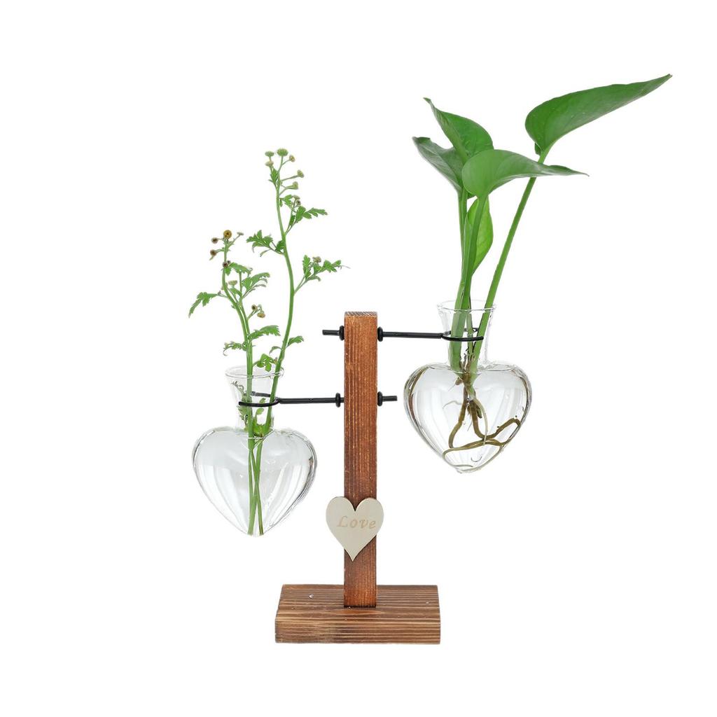 Wooden Frame Hydroponic Flower Vase - Transparent Ornament for Small Water Culture Plants