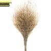 Jingzhou Shibang Bamboo Broom