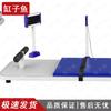 GZY AI Fitness Assessment & Training System