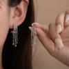 Retro Cold Wind Light Luxury Earrings Long Fringed Zircon Pendant Earrings Personalized Simple Earrings