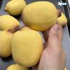 Crunchy Sesame Banana Squishy Stress Ball Fidget Toy Crispy Squishy Squeeze Ball Handmade Round Blocks Filled Asmr For Adult