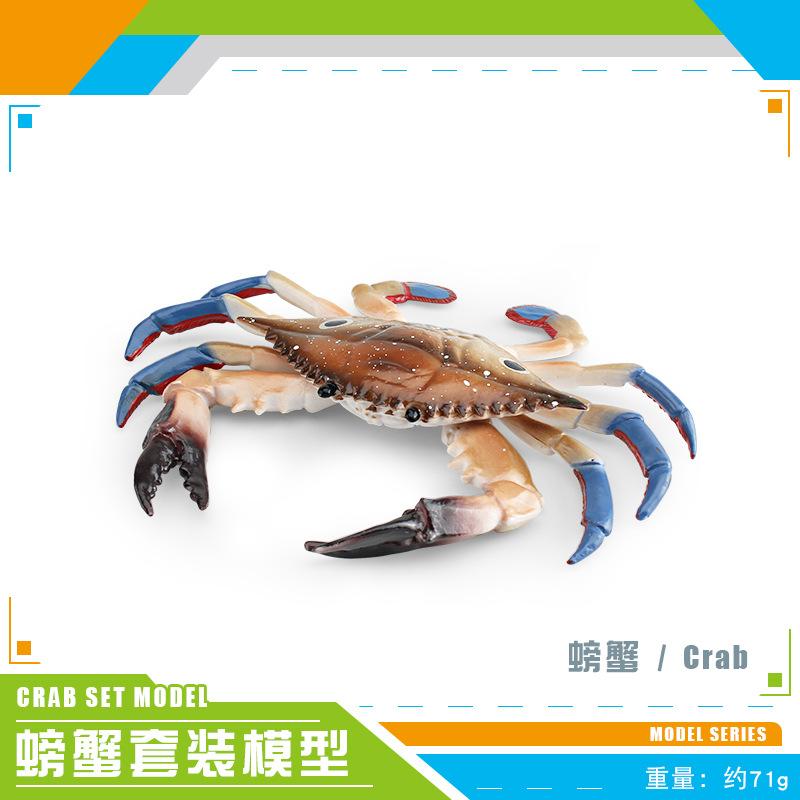 Simulated Marine Animal Crab Model, Children'S Cognition Three-Eye Crab Swimming Crab Bread Crab Ornament Toy