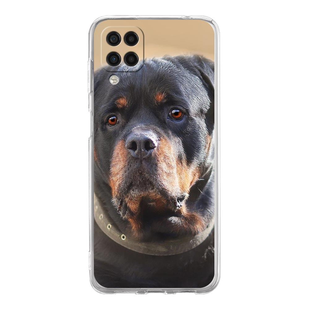 Rottweiler Dog Phone Case For Samsung Galaxy A51 A71 A21S A12 A11 A31 A41 A01 A03S A22 A13 A33 A73 A53 A52 A32 5G A23 Soft Cover