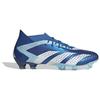 adidas Predator Accuracy.1 Fg 'Blau' GZ0038