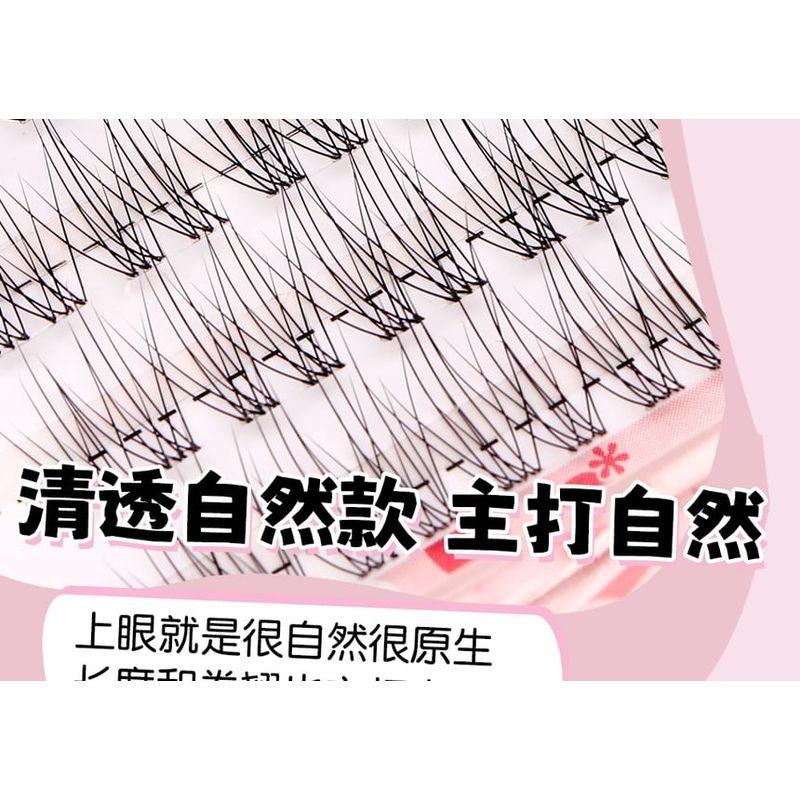 Bonnie Wisp - Naturliga Lösögonfransar med Kluster