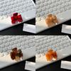 Chic Korean Style Small Bow Hair Clip Made From Acetate Perfect For Fashionable Women