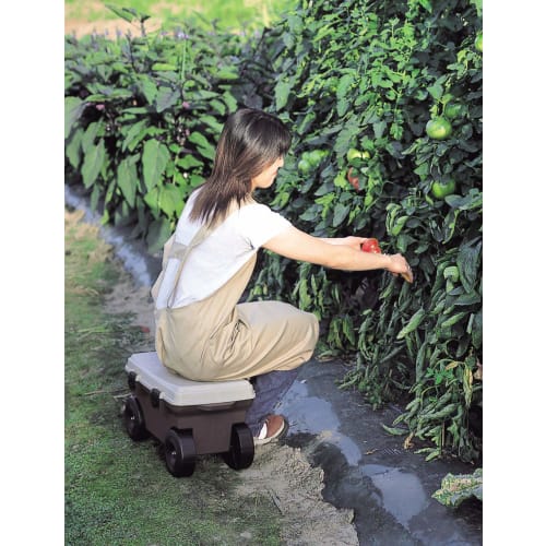 Bestco Field Cart with Tray, Botanical Style, MA-2221, 51 X 30.5 X 28.5 Cm, Brown